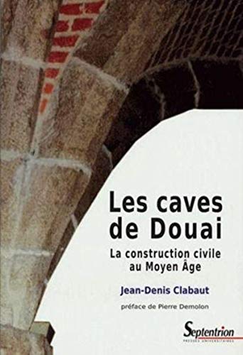 9782859399412: Les caves de Douai: La construction civile au Moyen Age