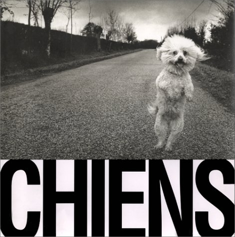 Stock image for Chiens for sale by medimops