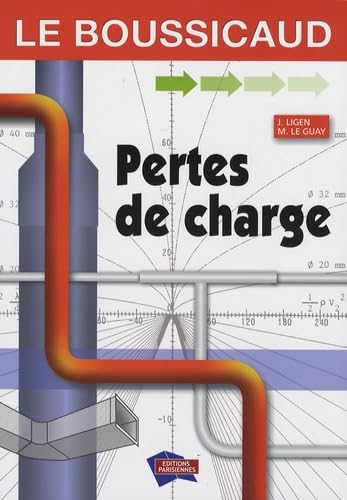 9782862430850: Pertes de charge: Le Boussicaud