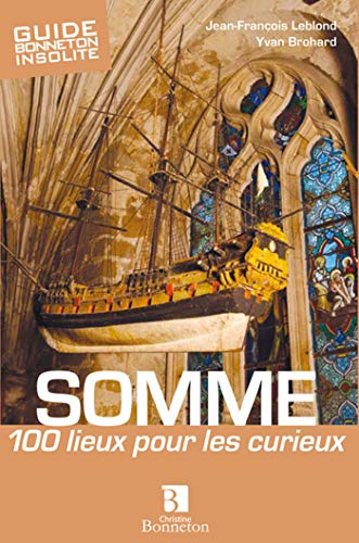 Beispielbild fr Somme : 100 Lieux Pour Les Curieux zum Verkauf von RECYCLIVRE