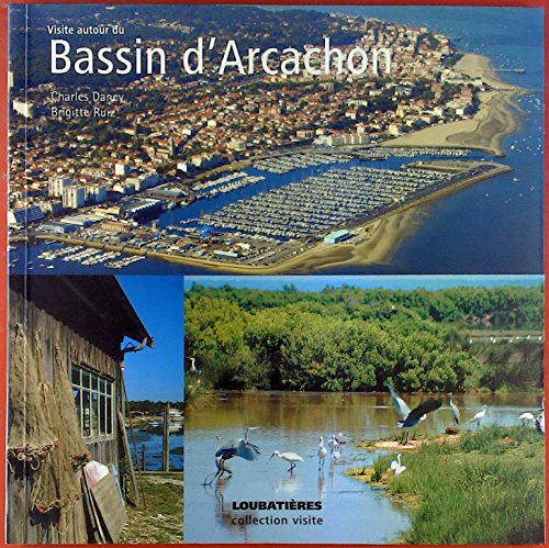 Stock image for Visite autour du Bassin d'Arcachon for sale by medimops