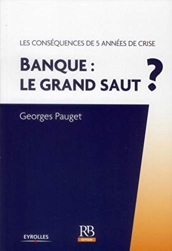 Beispielbild fr Banque : le grand saut ? Les consquences de 5 annes de crise. zum Verkauf von medimops