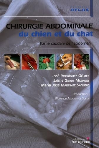 9782863262849: CHIRUGIE DE L ABDOMEN CHEZ LE CHIEN ET LE CHAT: Partie caudale de l'abdomen