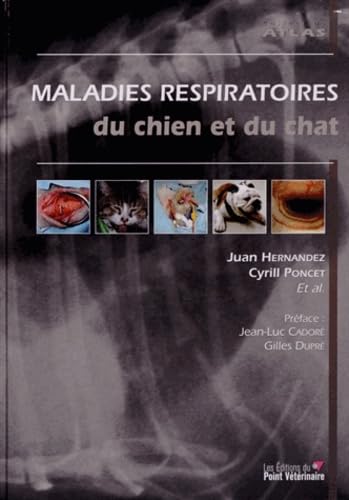 9782863263136: MALADIES RESPIRATOIRES DU CHAT ET DU CHIEN