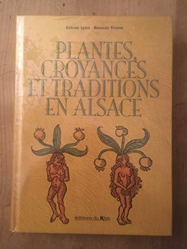 Beispielbild fr Plantes, croyances et traditions en Alsace zum Verkauf von medimops