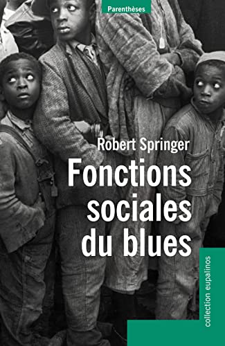 Beispielbild fr FONCTIONS SOCIALES DU BLUES zum Verkauf von Gallix