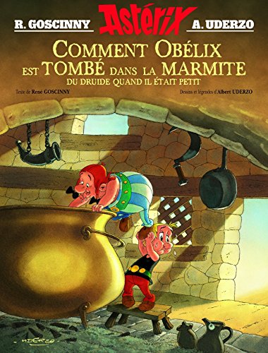 Beispielbild fr Comment Ob lix est tomb dans la marmite du druide quand il  tait petit zum Verkauf von WorldofBooks