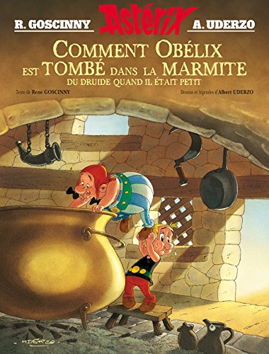 Stock image for Comment Obelix est tombe dans la marmite du druide. (French Edition) for sale by SecondSale