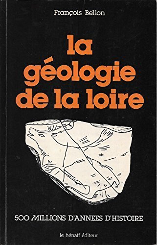 Beispielbild fr La gologie de la Loire zum Verkauf von Ammareal