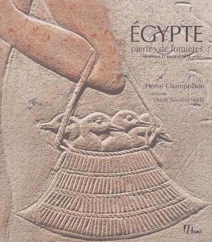 Stock image for Egypte pierres de lumire : Moyenne et basse-Egypte for sale by medimops