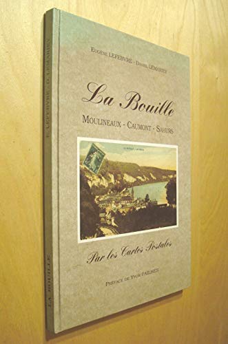 Stock image for La Bouille : Par les cartes postales for sale by medimops