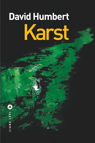 Stock image for Karst for sale by ThriftBooks-Atlanta