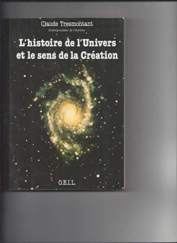 Beispielbild fr L'Histoire de l'univers et le sens de la cration : Sept confrences zum Verkauf von Ammareal