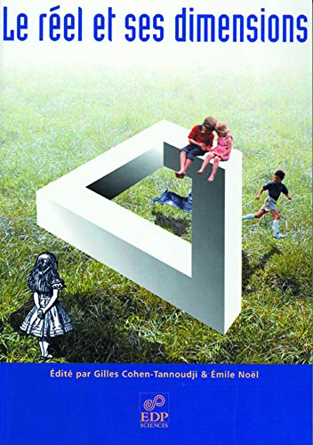Stock image for Le rel et ses dimensions : Huitime rencontre " Physique et interrogations fondamentales", 19 novembre 2003 for sale by Revaluation Books