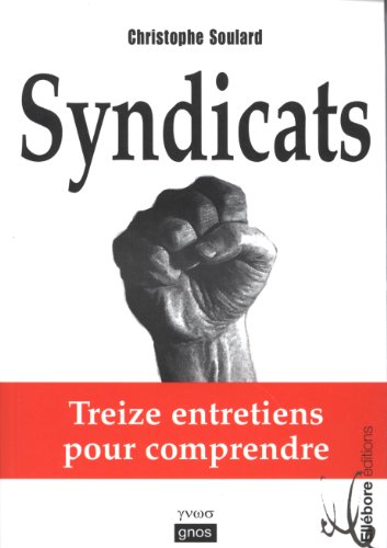 9782868989130: Syndicats. treize entretiens pour comprendre