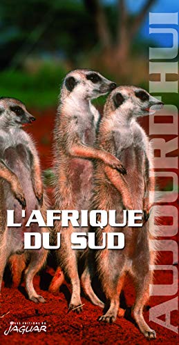 Beispielbild fr L'AFRIQUE DU SUD AUJOURD'HUI zum Verkauf von Librairie Th  la page