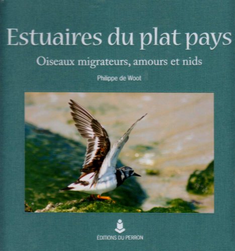 Imagen de archivo de Estuaires du Plat Pays. Oiseaux migrateurs, amours et nids. a la venta por Philippe Moraux