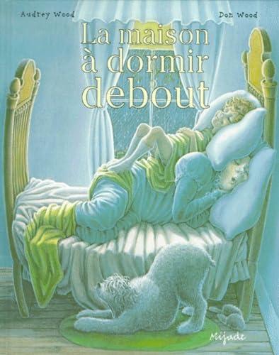 9782871422242: MAISON A DORMIR DEBOUT (BIBLIOTHEQUE)