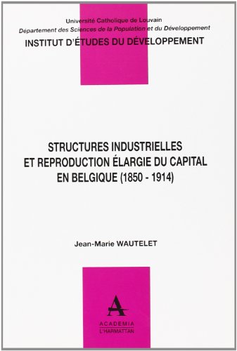 Stock image for STRUCTURES INDUSTRIELLES ET REPRODUCTION ELARGIE DU CAPITAL EN BELGIQUE 1850 1914 for sale by LiLi - La Libert des Livres