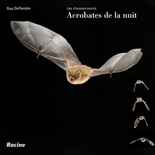 Imagen de archivo de Les chauves-souris acrobates de la nuit a la venta por Ammareal