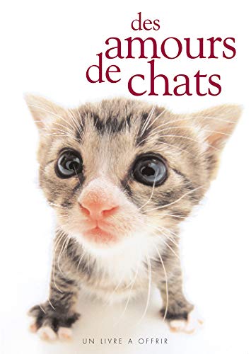 Imagen de archivo de Des amours de chats a la venta por Ammareal