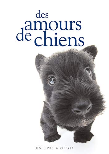 Stock image for Des amours de chiens for sale by medimops