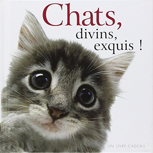 Imagen de archivo de Chats, divins, exquis ! a la venta por Ammareal