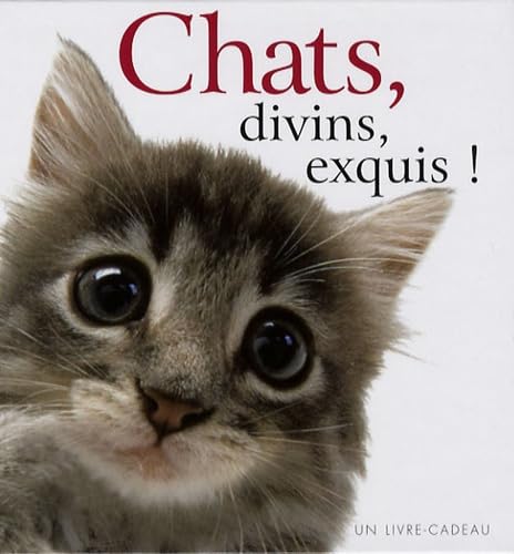 Stock image for Chats, divins, exquis ! for sale by Ammareal