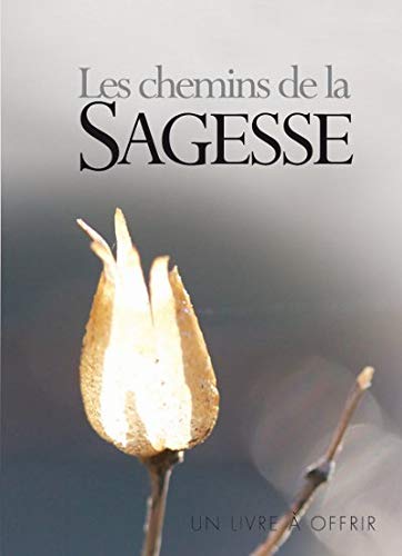 Beispielbild fr Le chemins de la Sagesse zum Verkauf von Ammareal
