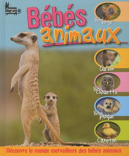Imagen de archivo de Bbs animaux a la venta por Ammareal