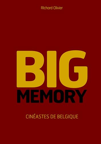 Stock image for Big Memory : Cinastes de Belgique for sale by Ammareal