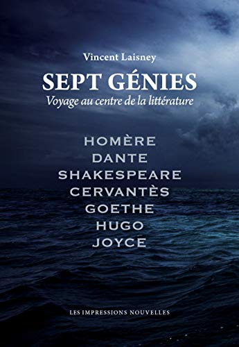 Beispielbild fr Sept gnies - Voyage au centre de la litterature zum Verkauf von Ammareal