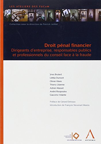 Stock image for DROIT PNAL FINANCIER: DIRIGEANTS D'ENTREPRISE, RESPONSABLES PUBLICS ET PROFESSIONNELS DU CONSEIL FACE COLLECTIF for sale by BIBLIO-NET