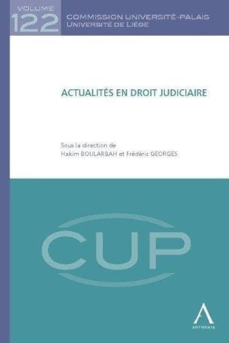 Stock image for Actualits en droit judiciaire for sale by Revaluation Books
