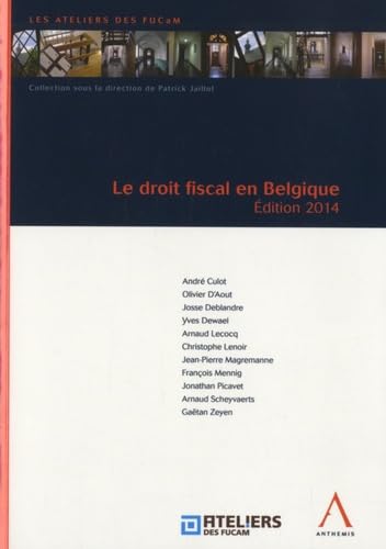 Beispielbild fr Le Droit Fiscal En Belgique zum Verkauf von RECYCLIVRE
