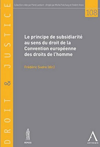 9782874557415: Le principe de subsidiarit au sens de la Convention europenne des droits de l'homme: SOUS LA DIRECTION DE FRDRIC SUDRE