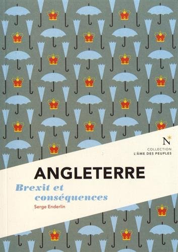 9782875231123: Angleterre : Brexit et consequences