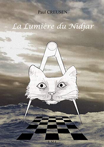 Stock image for La lumiere du Nidjar for sale by medimops