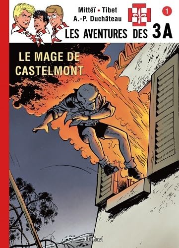 9782875352637: Le mage de Castelmont