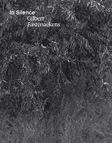 Imagen de archivo de Gilbert Fastenaekens: In Silence a la venta por Object Relations, IOBA