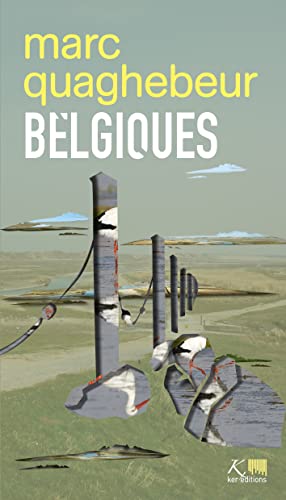 Beispielbild fr Belgiques, tome 19 zum Verkauf von Gallix