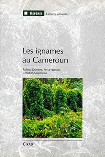 Stock image for Les ignames au Cameroun for sale by Joseph Burridge Books