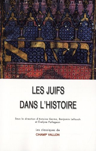 Stock image for Les juifs dans l'histoire : De la naissance du judasme au monde contemporain for sale by medimops