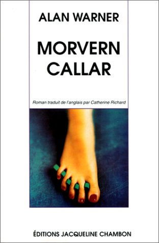 Stock image for Morvern Callar for sale by medimops