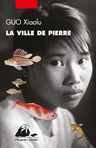 Stock image for LA VILLE DE PIERRE (PICQUIER POCHE) for sale by WorldofBooks