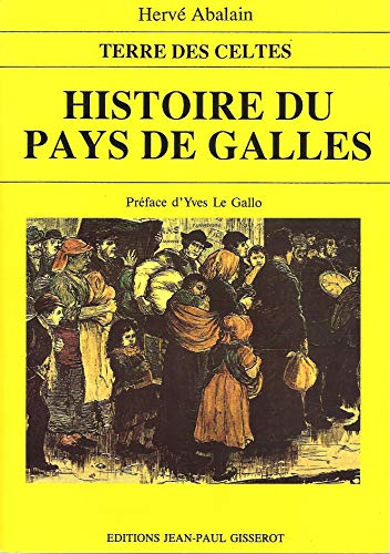 Beispielbild fr Histoire du pays de Galles zum Verkauf von medimops