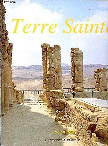 Beispielbild fr Terre sainte zum Verkauf von Ammareal