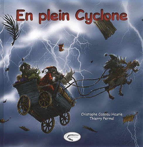 Stock image for En plein cyclone for sale by medimops