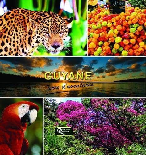 9782877636513: Guyane - terre d'aventures