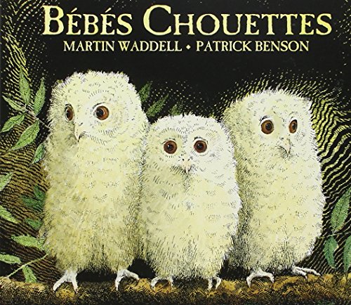 Stock image for BEBES CHOUETTES (TOUT CARTON) for sale by GF Books, Inc.